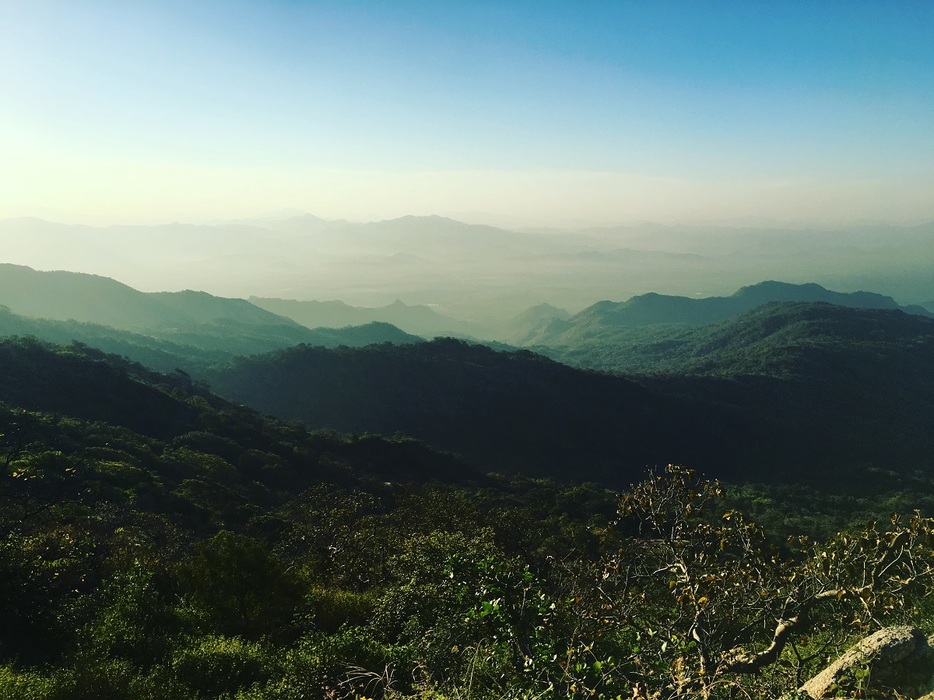 Sun rise view from the forest