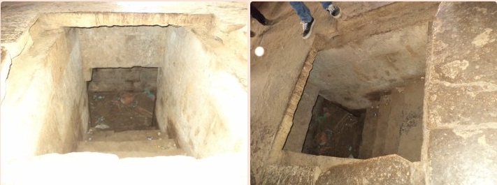 Surang in Polo forest