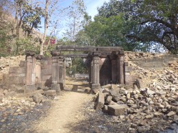 small temple polo forest