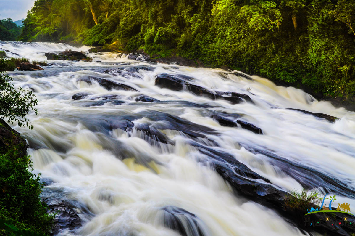 Chalakudy river at Vazachal