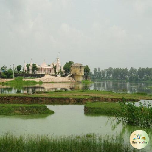 Polo Forest Day Trip From Ahmedabad at Best Price