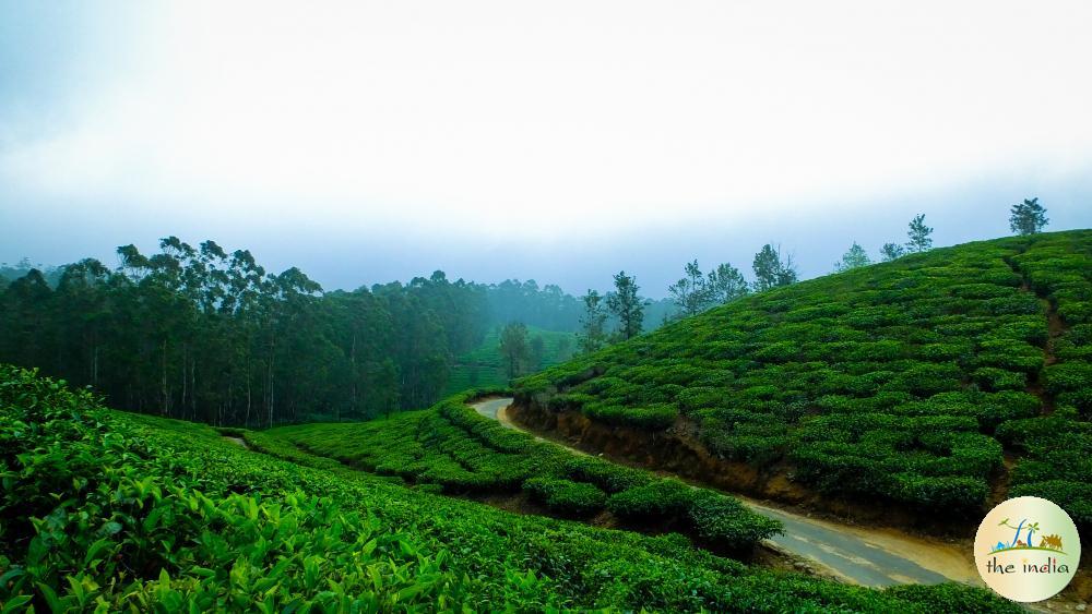 Hill Station Hill Station