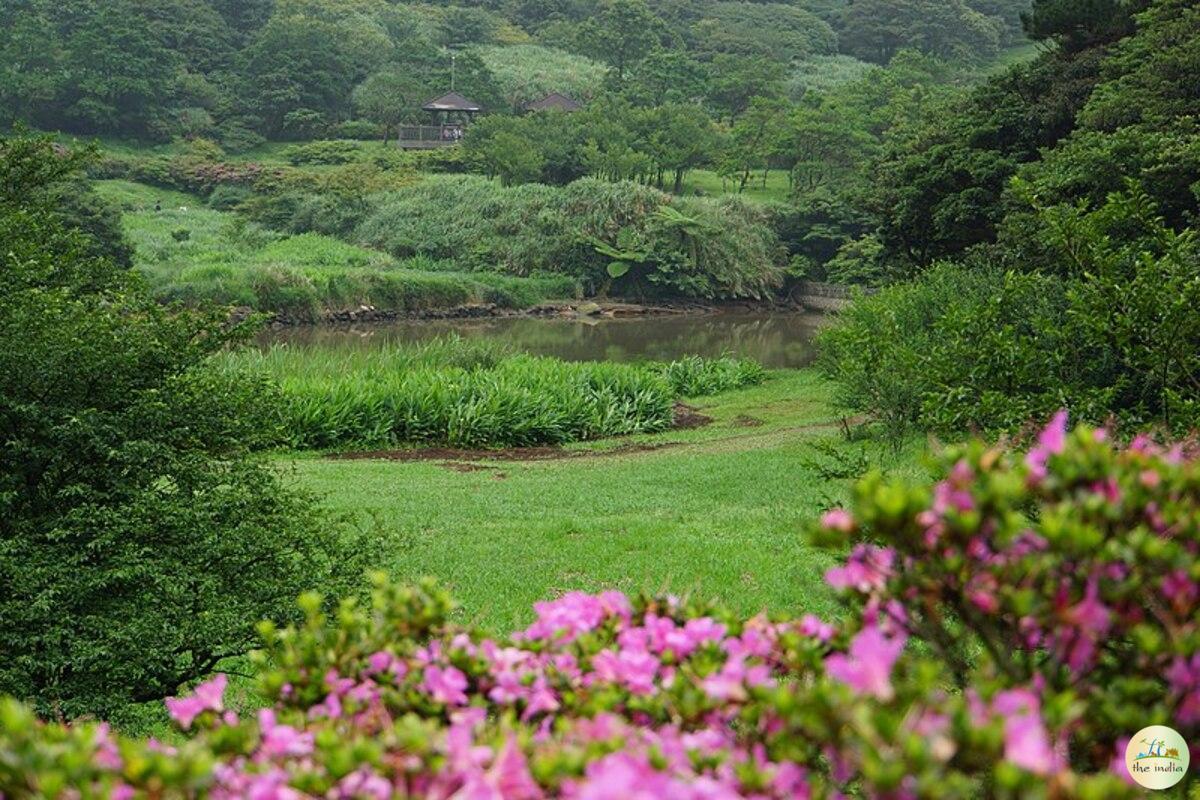 Privacy Policy Privacy Policy