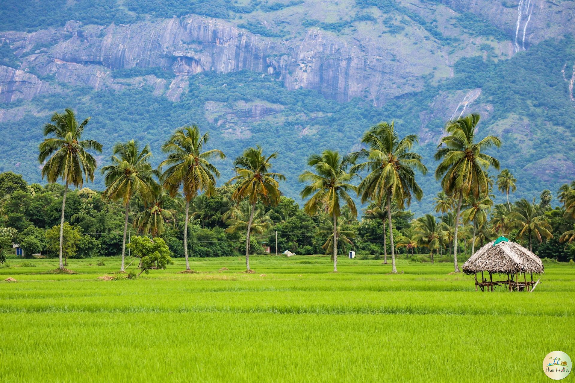 Popular States to Visit in India Popular States to Visit in India