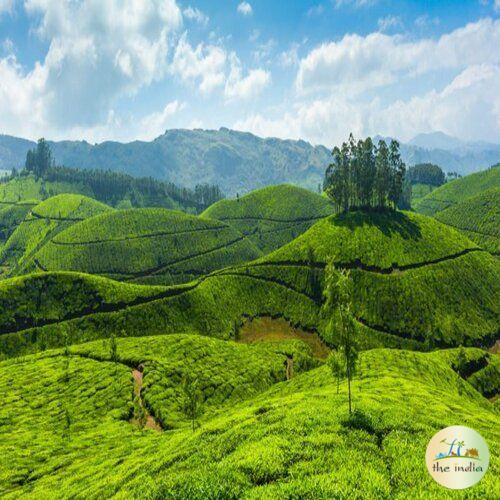 2 Nights-3 Days Luxury Kumarakom Kochi Munnar Tour Package