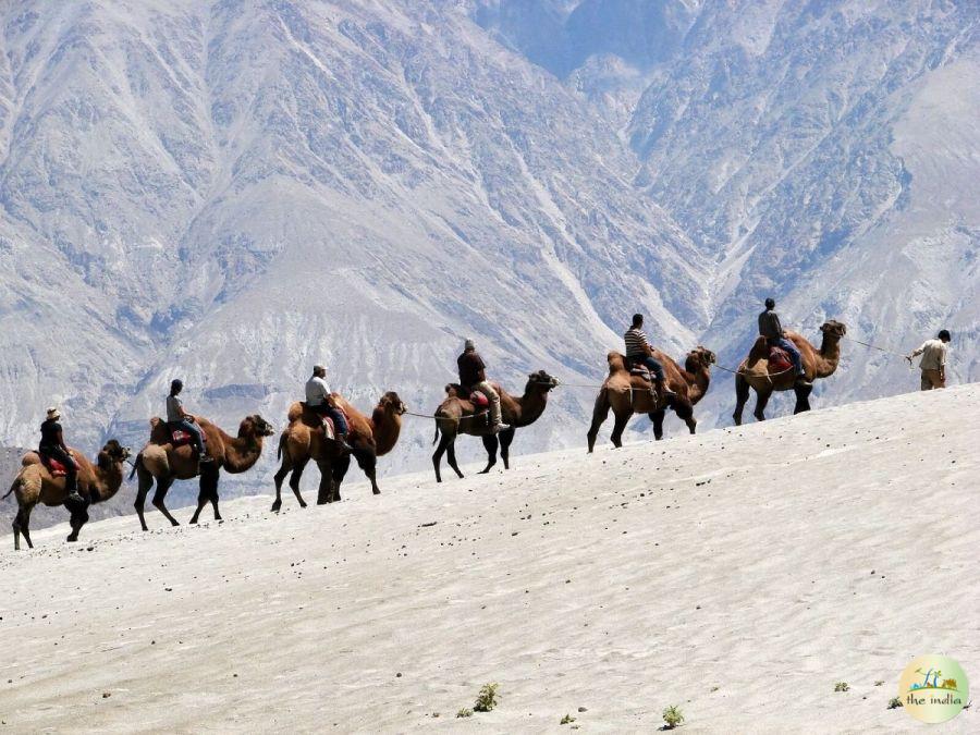 Leh Khardung Tour Package (3 Nights-4 Days)