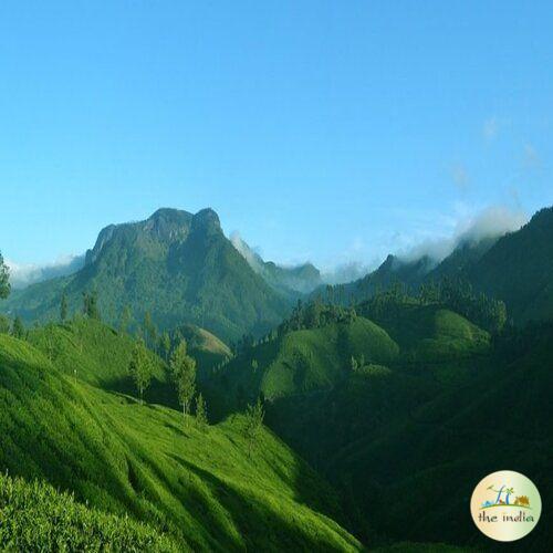 3 Nights-4 Days Cochin Munnar Kumarakom Tour Package