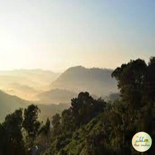 7 Nights 8 Days Kochi Munnar Thekkady Kovalam Trivandrum Tour Package