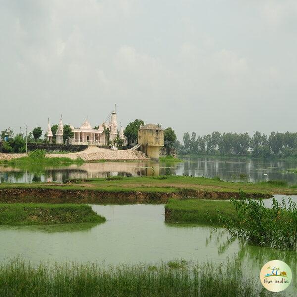 Polo Forest Day Trip From Ahmedabad at Best Price Polo Forest Day Trip From Ahmedabad at Best Price