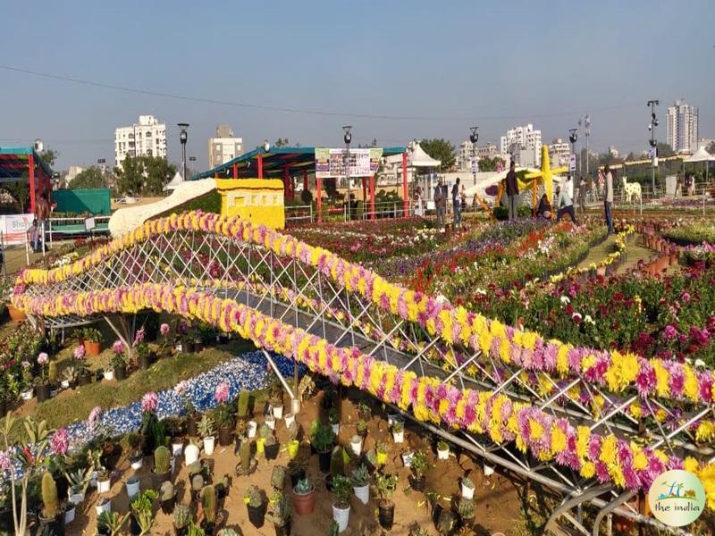 Flower Show Ahmedabad 2024 Flower Show Ahmedabad 2024