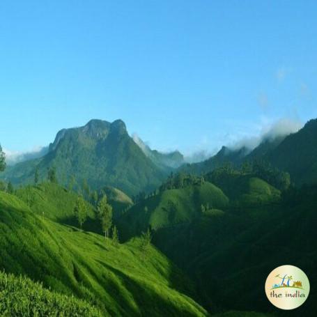 3 Nights-4 Days Cochin Munnar Kumarakom Tour Package