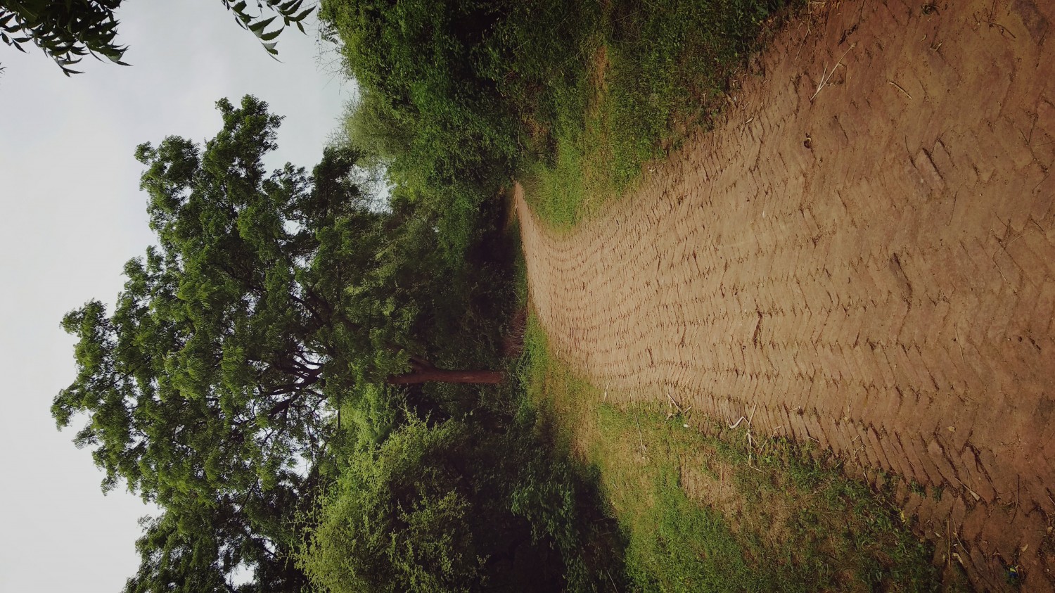 Indroda Nature Park Ahmedabad Indroda Nature Park Ahmedabad