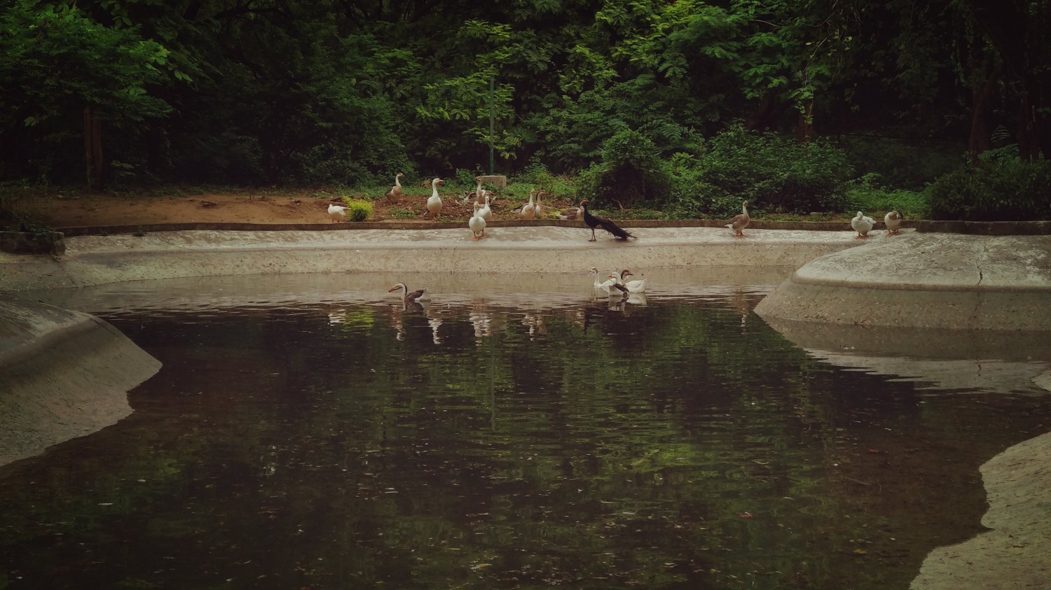 Indroda Nature Park Ahmedabad Indroda Nature Park Ahmedabad