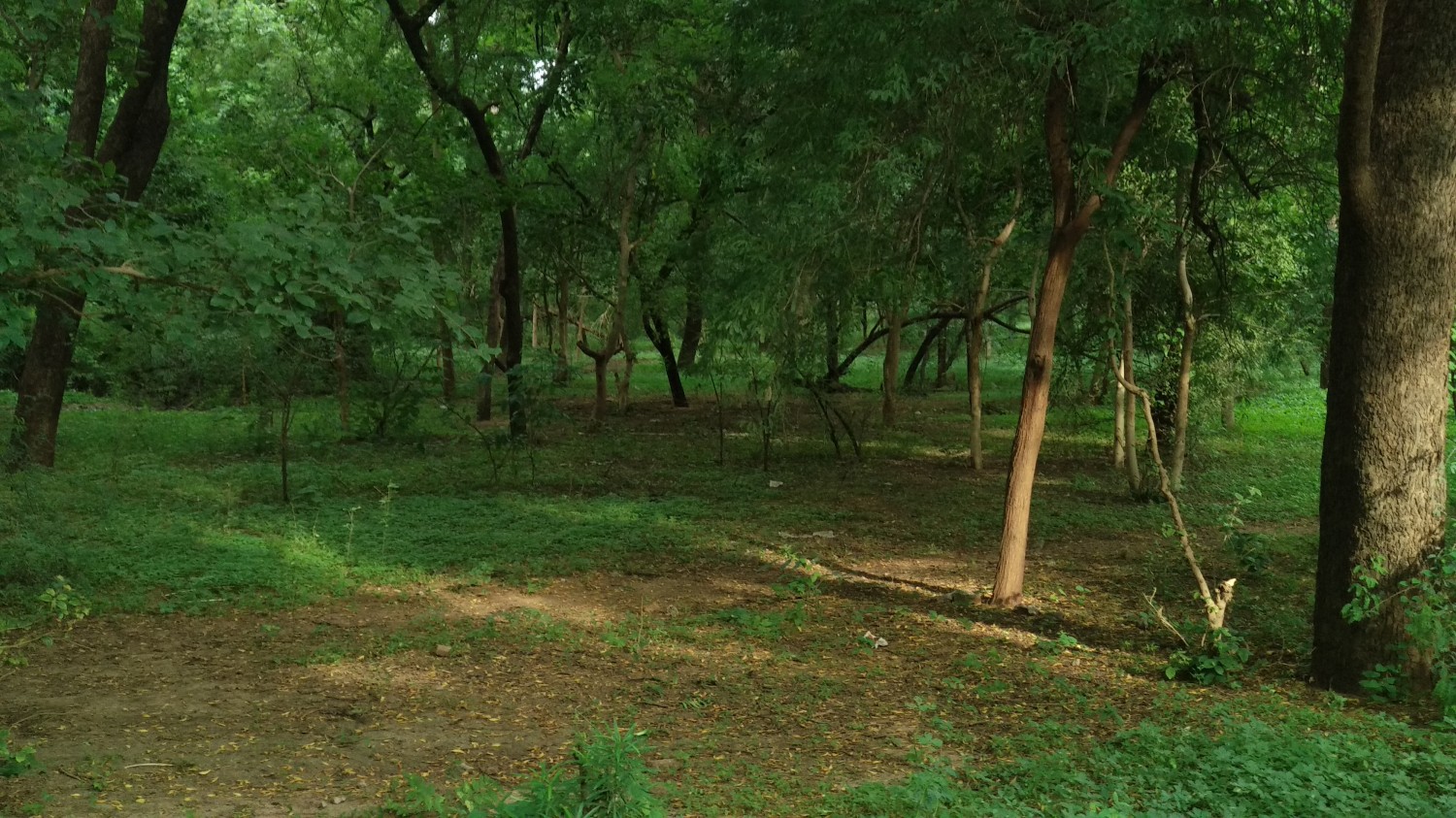Indroda Nature Park Ahmedabad Indroda Nature Park Ahmedabad