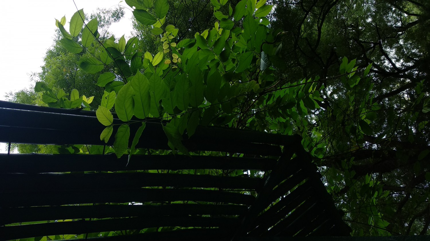 Indroda Nature Park Ahmedabad Indroda Nature Park Ahmedabad