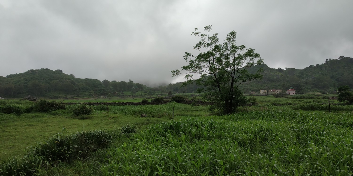 Rabbit Farm Mount Abu