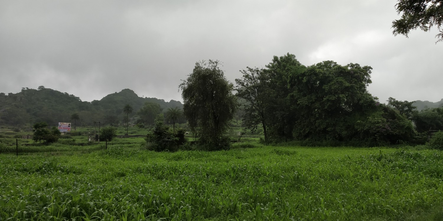 Rabbit Farm Mount Abu