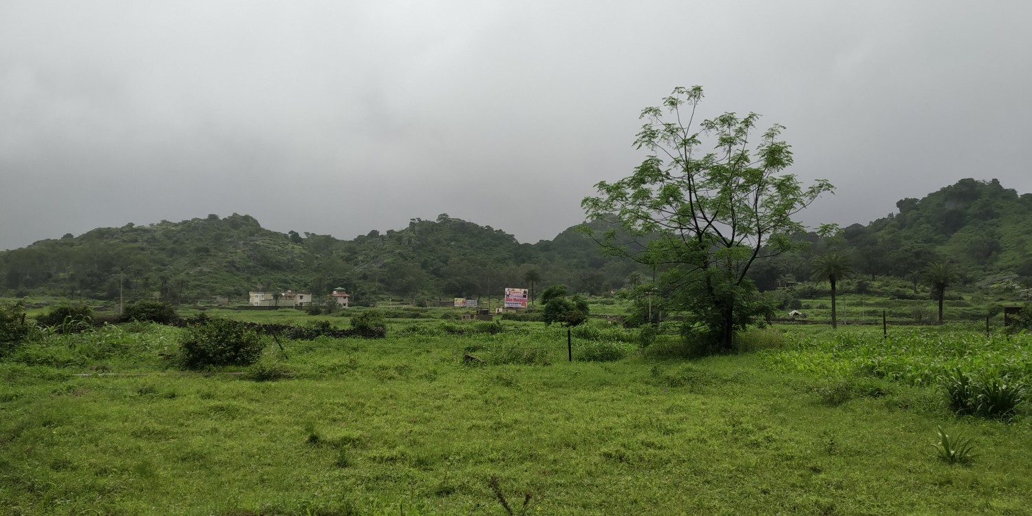 Rabbit Farm Mount Abu