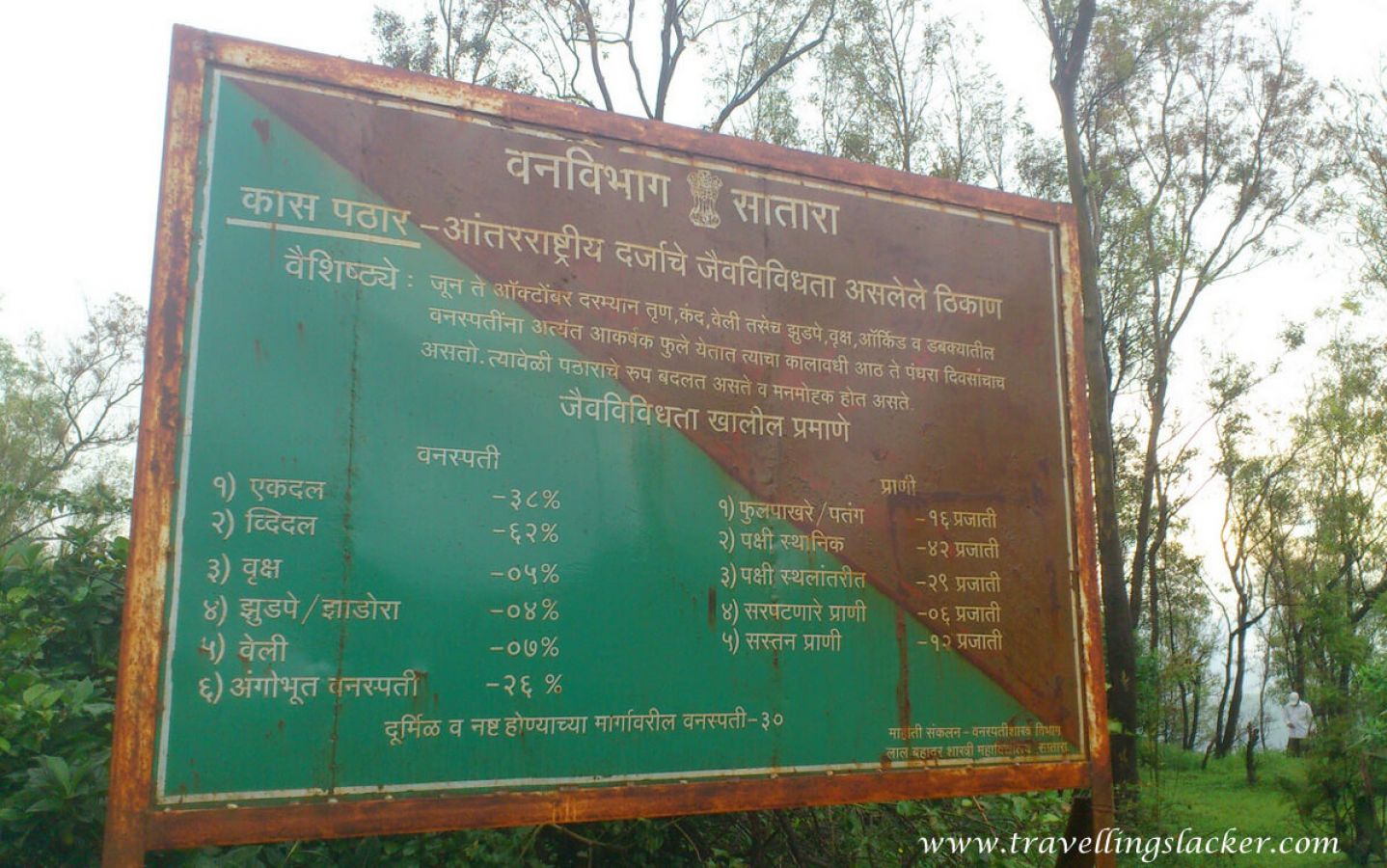 Kaas Plateau Satara Kaas Plateau Satara