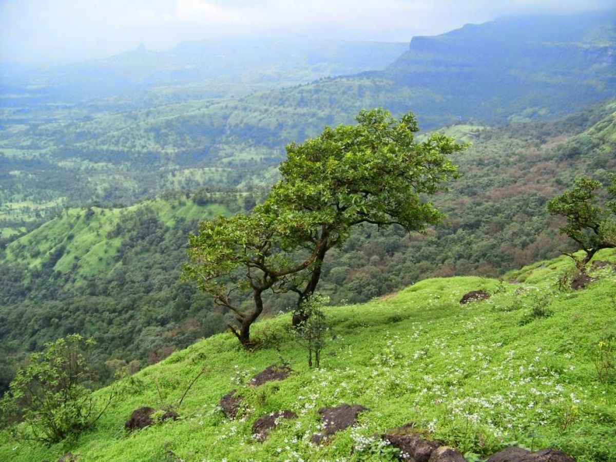 Kalsubai Peak Nashik