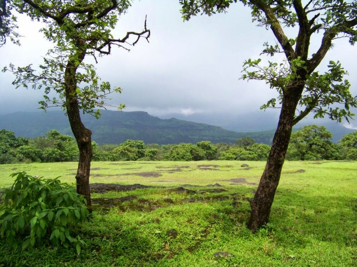 Kalsubai Peak Nashik