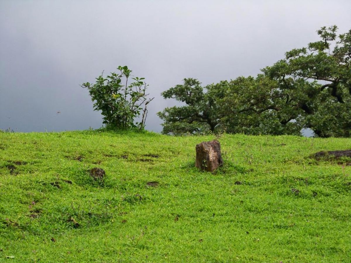 Kalsubai Peak Nashik