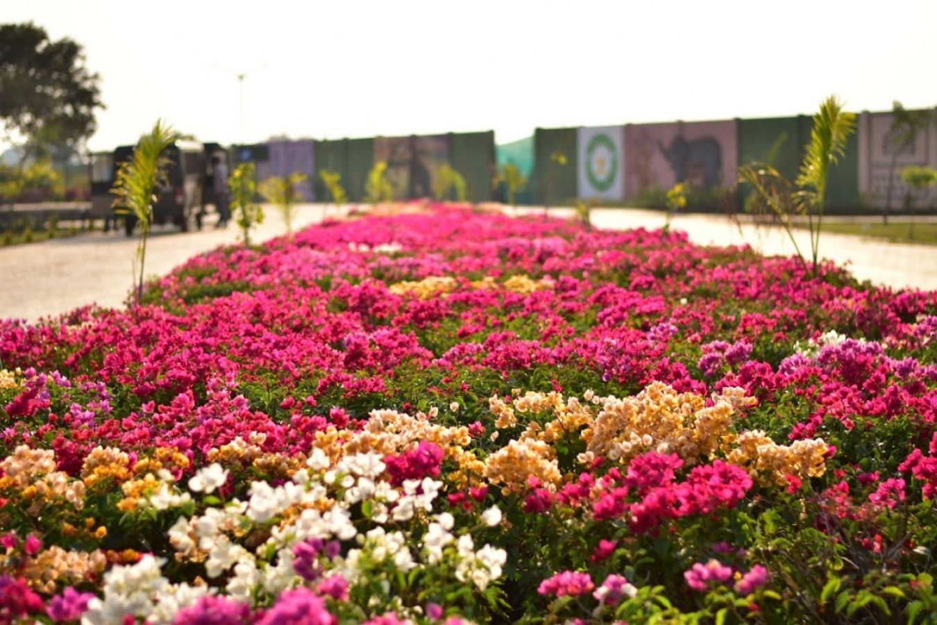 Nandanvan Jungle Safari Raipur Nandanvan Jungle Safari Raipur