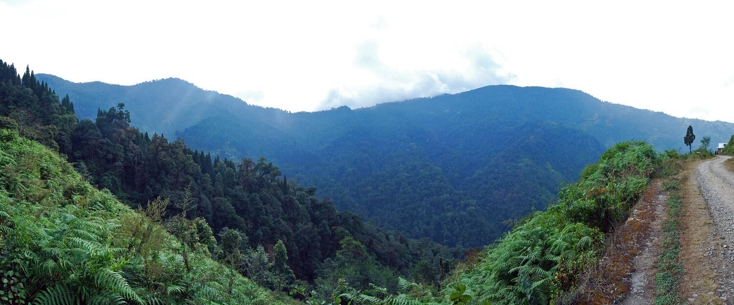 Neora Valley National Park Darjeeling Neora Valley National Park Darjeeling