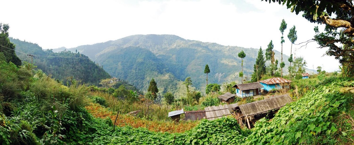 Neora Valley National Park Darjeeling Neora Valley National Park Darjeeling