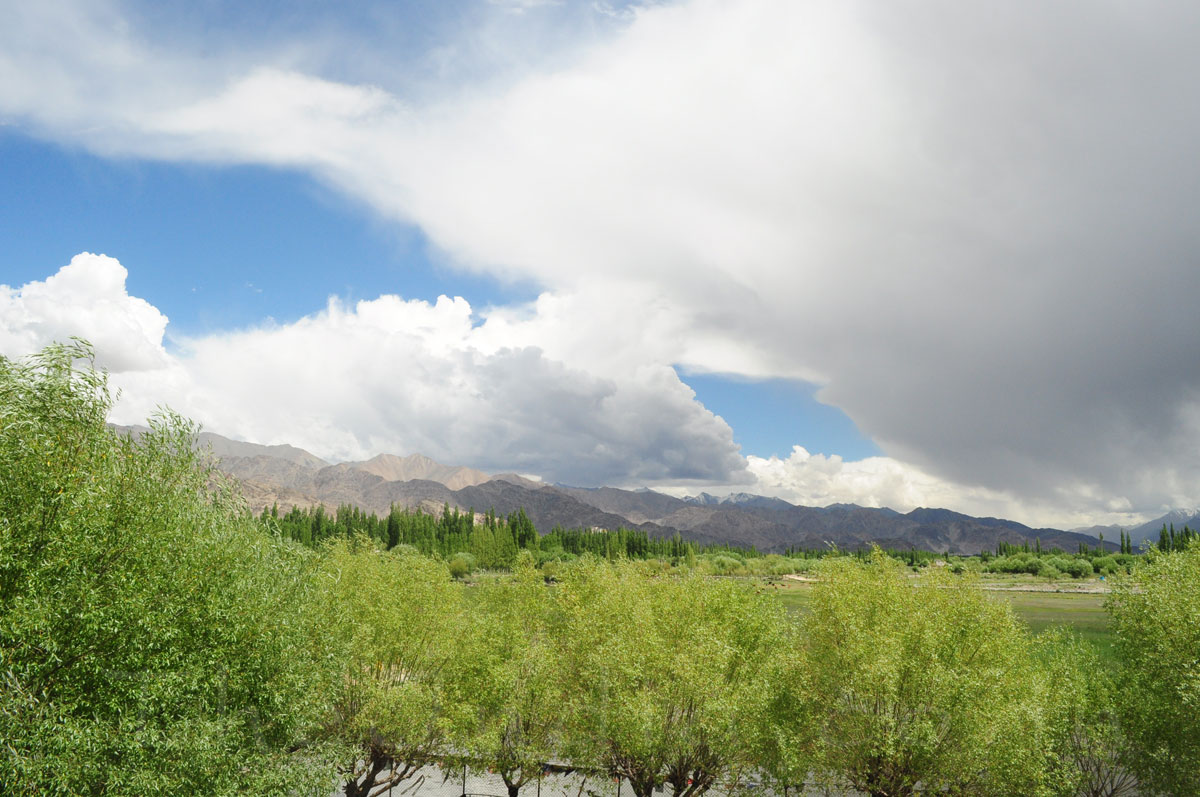 Leh City Leh Leh City Leh