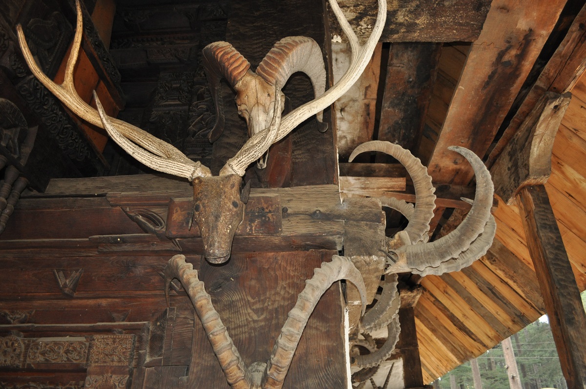Hadimba Devi Temple Manali