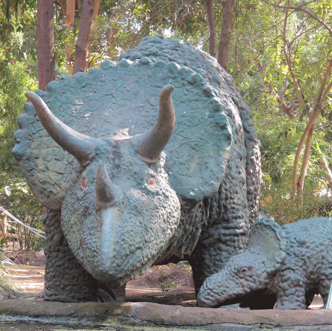 Indroda Nature Park Ahmedabad Indroda Nature Park Ahmedabad