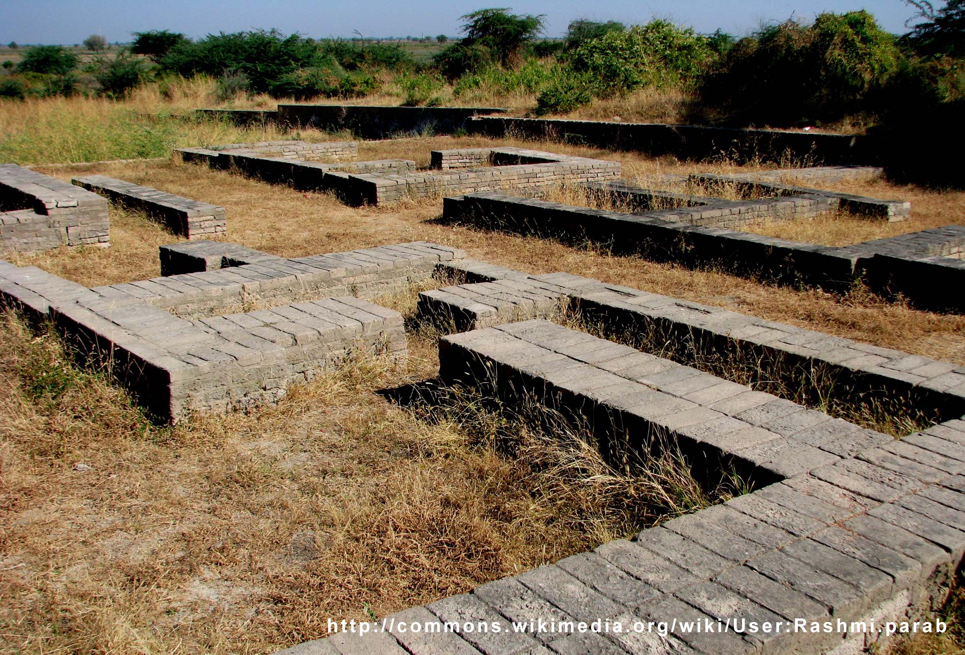 Lothal Saragwala Lothal Saragwala