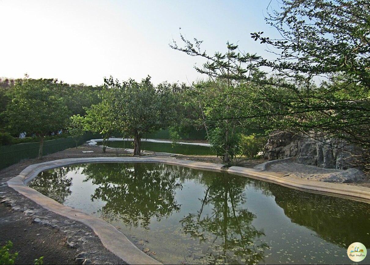 Pradhyuman Zoological Park Pradhyuman Zoological Park