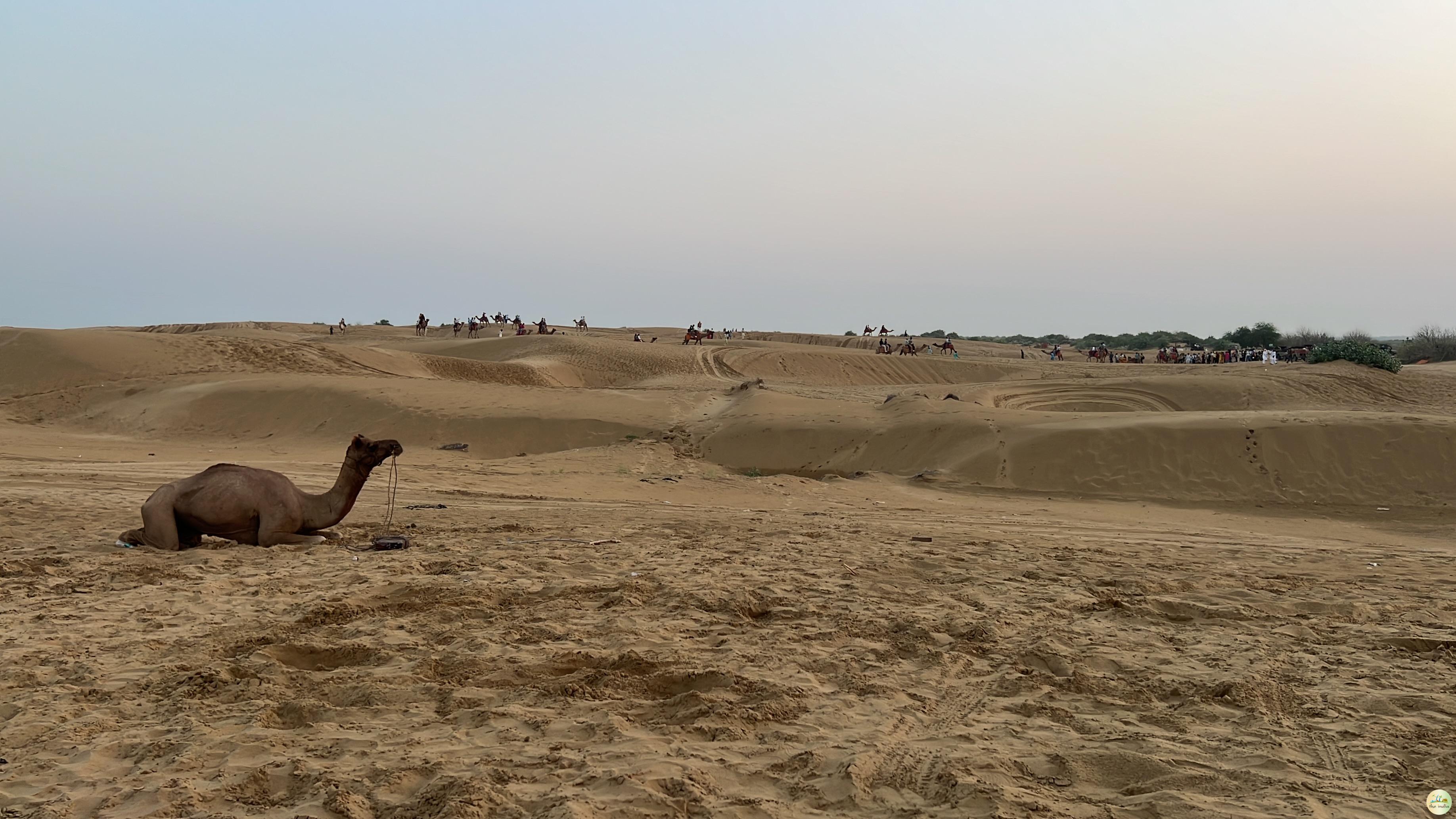 Sam Sand Dunes Sam Sand Dunes