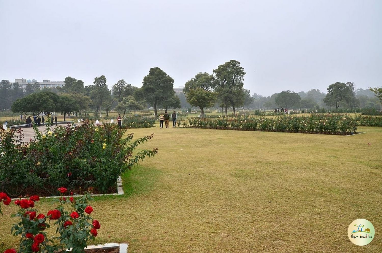 Chandigarh Chandigarh