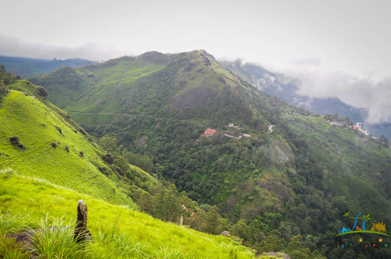 Grassland Munnar Grassland Munnar