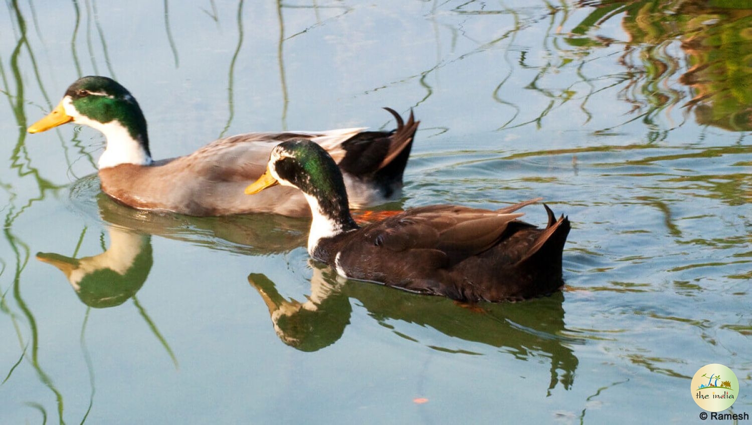 Hyderabad Botanical Garden Hyderabad