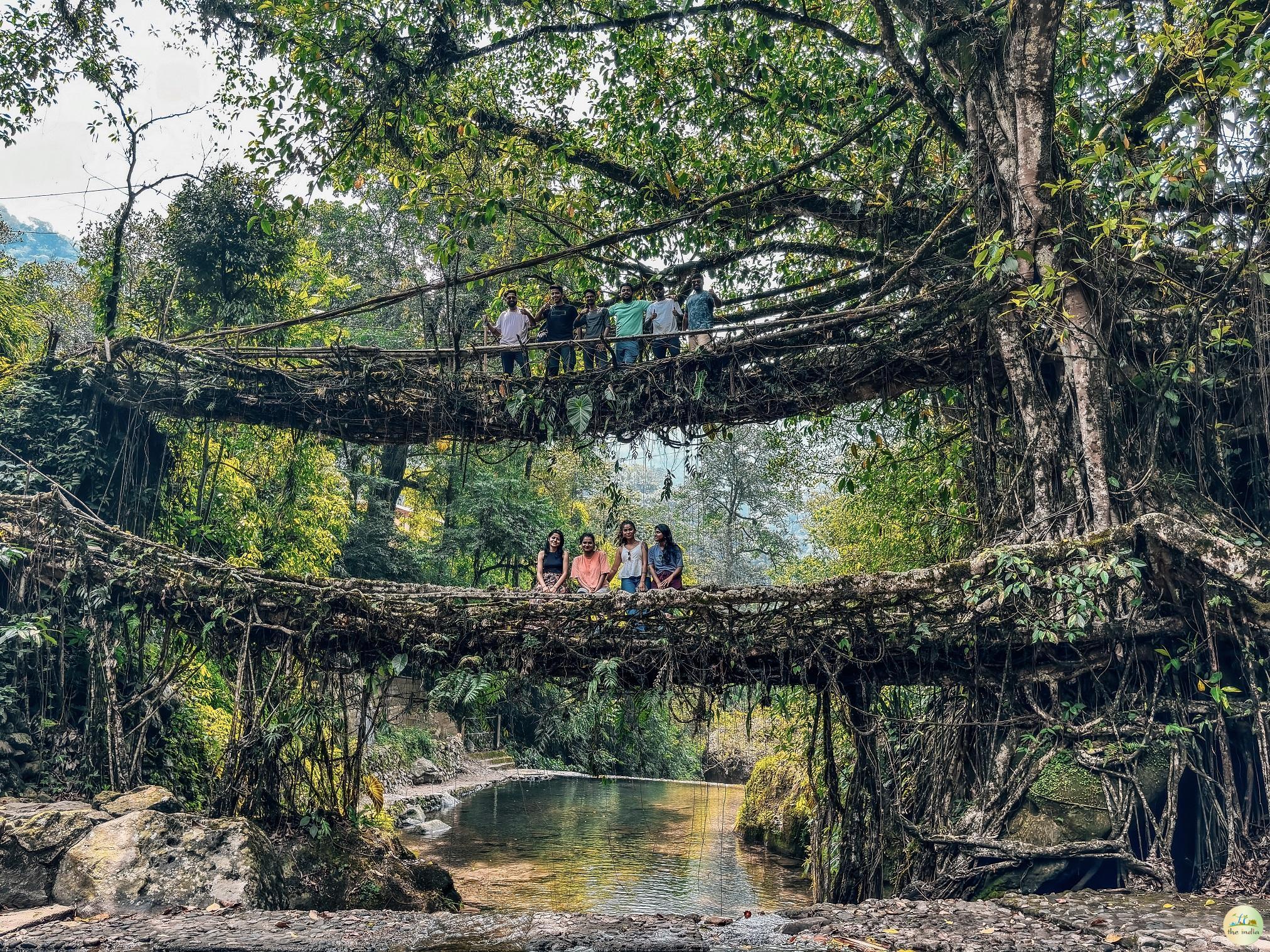 Double Decker Living Root Bridge Cherrapunji (Sohra) Double Decker Living Root Bridge Cherrapunji (Sohra)