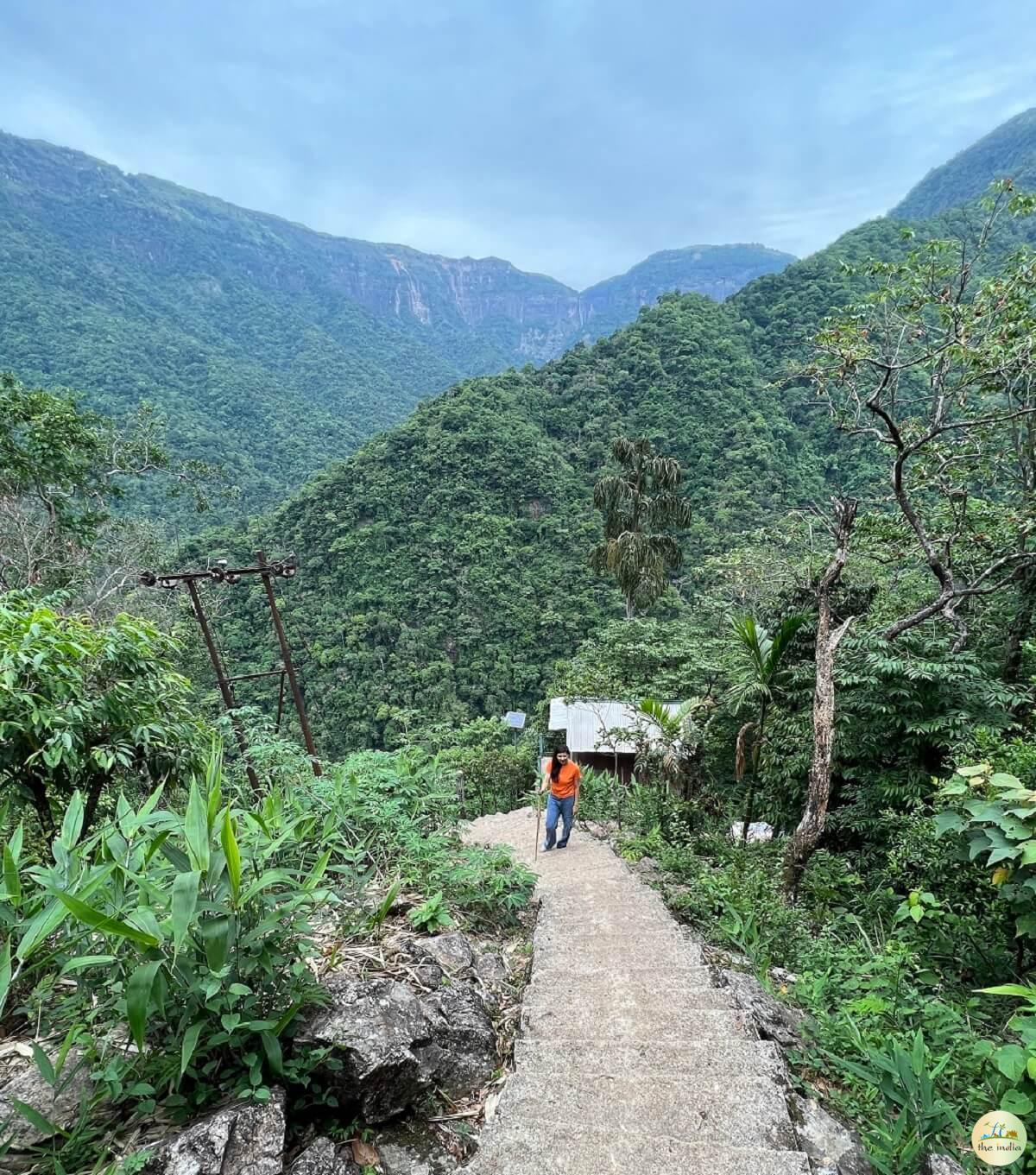 Double Decker Living Root Bridge Cherrapunji (Sohra) Double Decker Living Root Bridge Cherrapunji (Sohra)