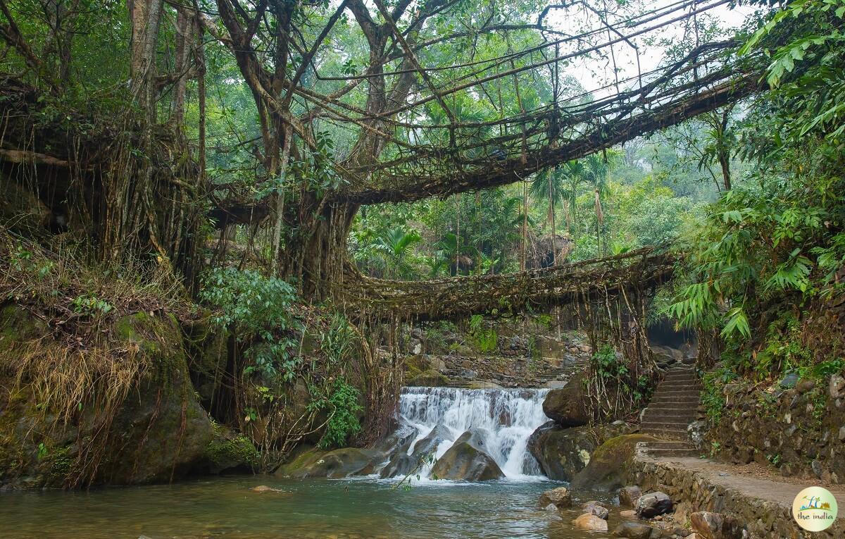 Double Decker Living Root Bridge Cherrapunji (Sohra) Double Decker Living Root Bridge Cherrapunji (Sohra)