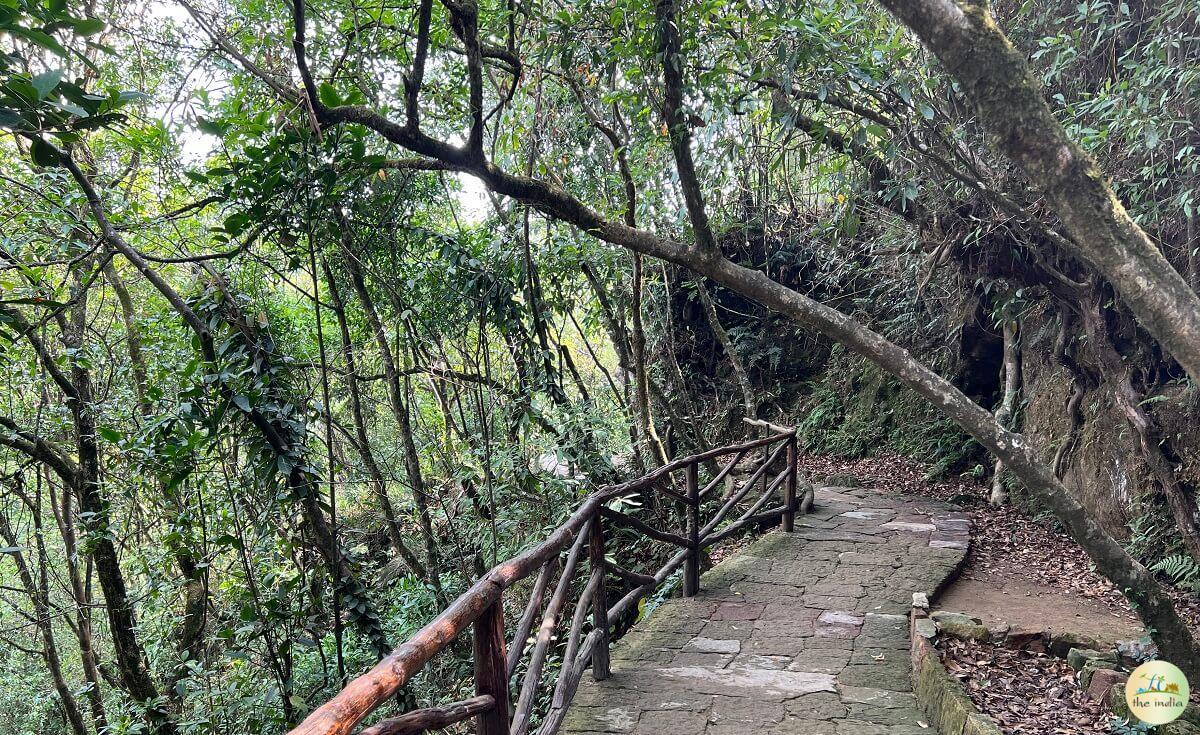 Garden of Caves Cherrapunji (Sohra)