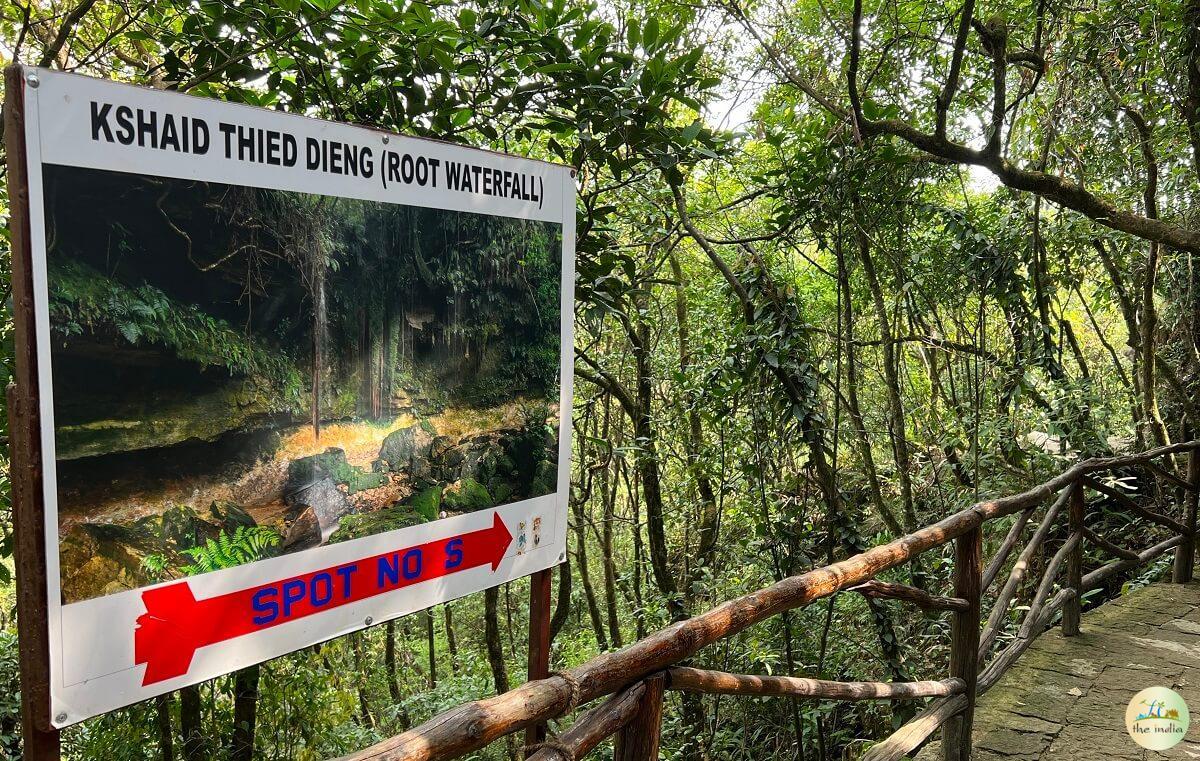 Garden of Caves Cherrapunji (Sohra)