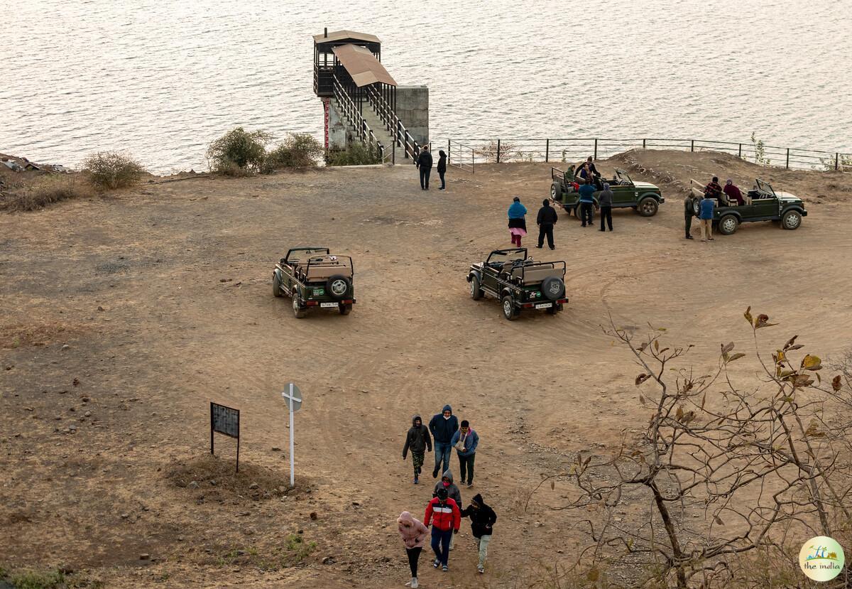 Gir Forest National Park Junagadh