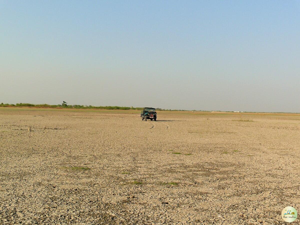 Little Rann of Kutch (LRK) Kutch Little Rann of Kutch (LRK) Kutch