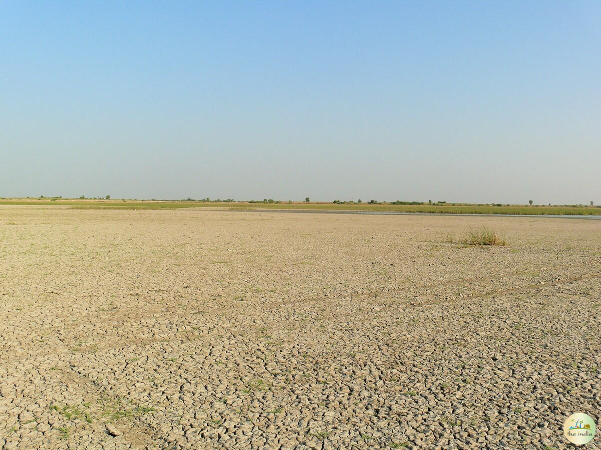 Little Rann of Kutch (LRK) Kutch Little Rann of Kutch (LRK) Kutch