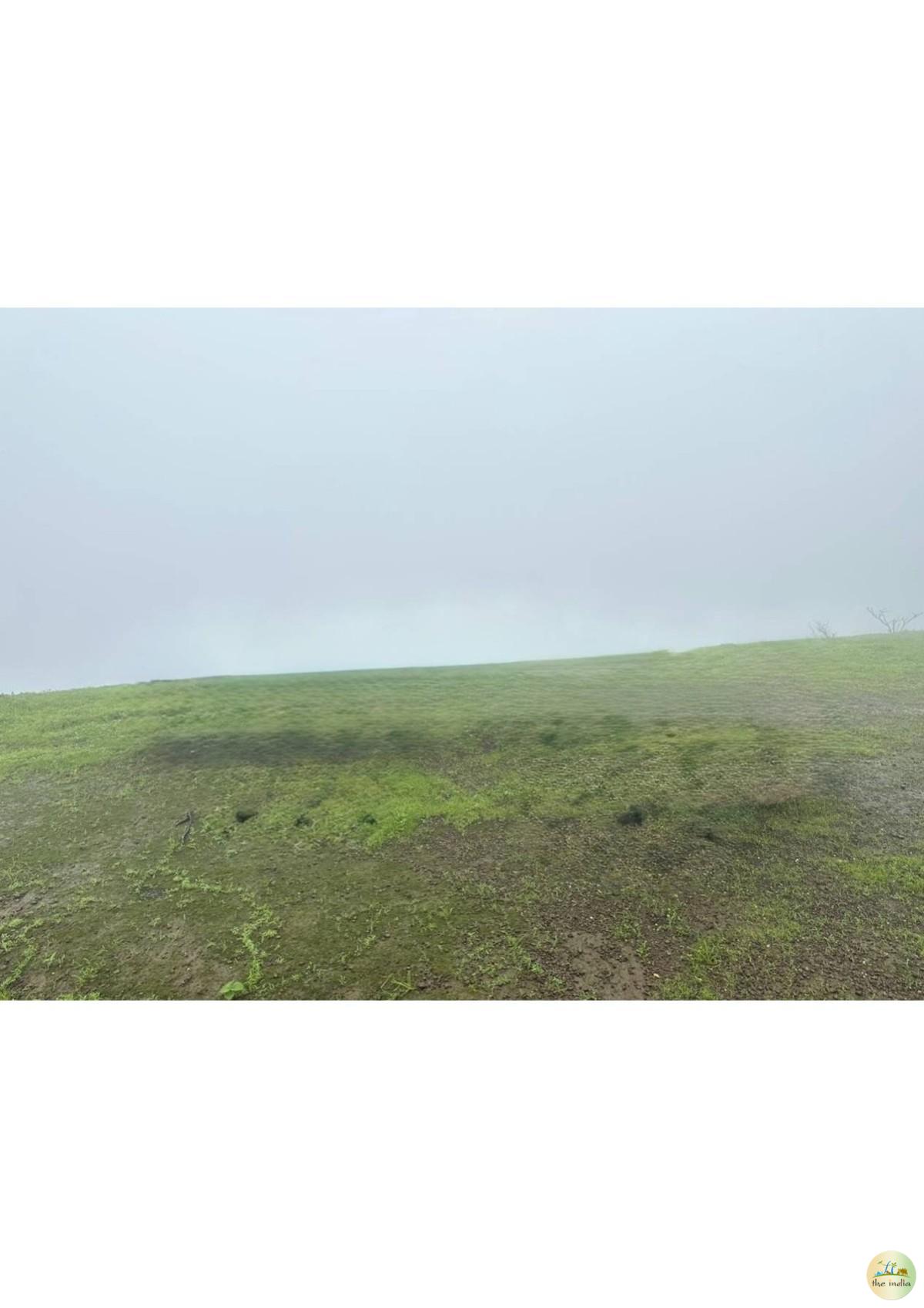 Saputara Hill Station Saputara