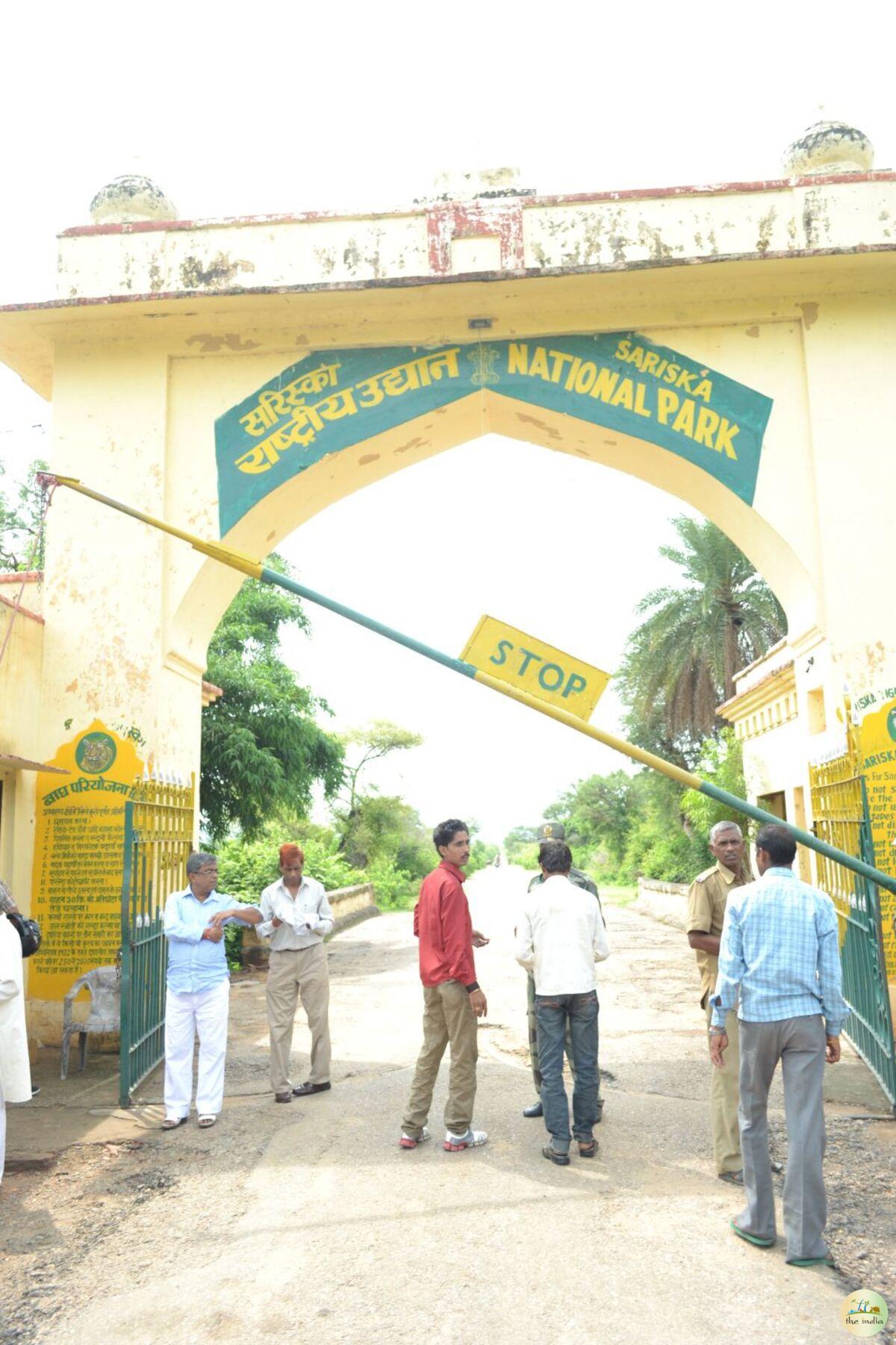 Sariska National Park Alwar