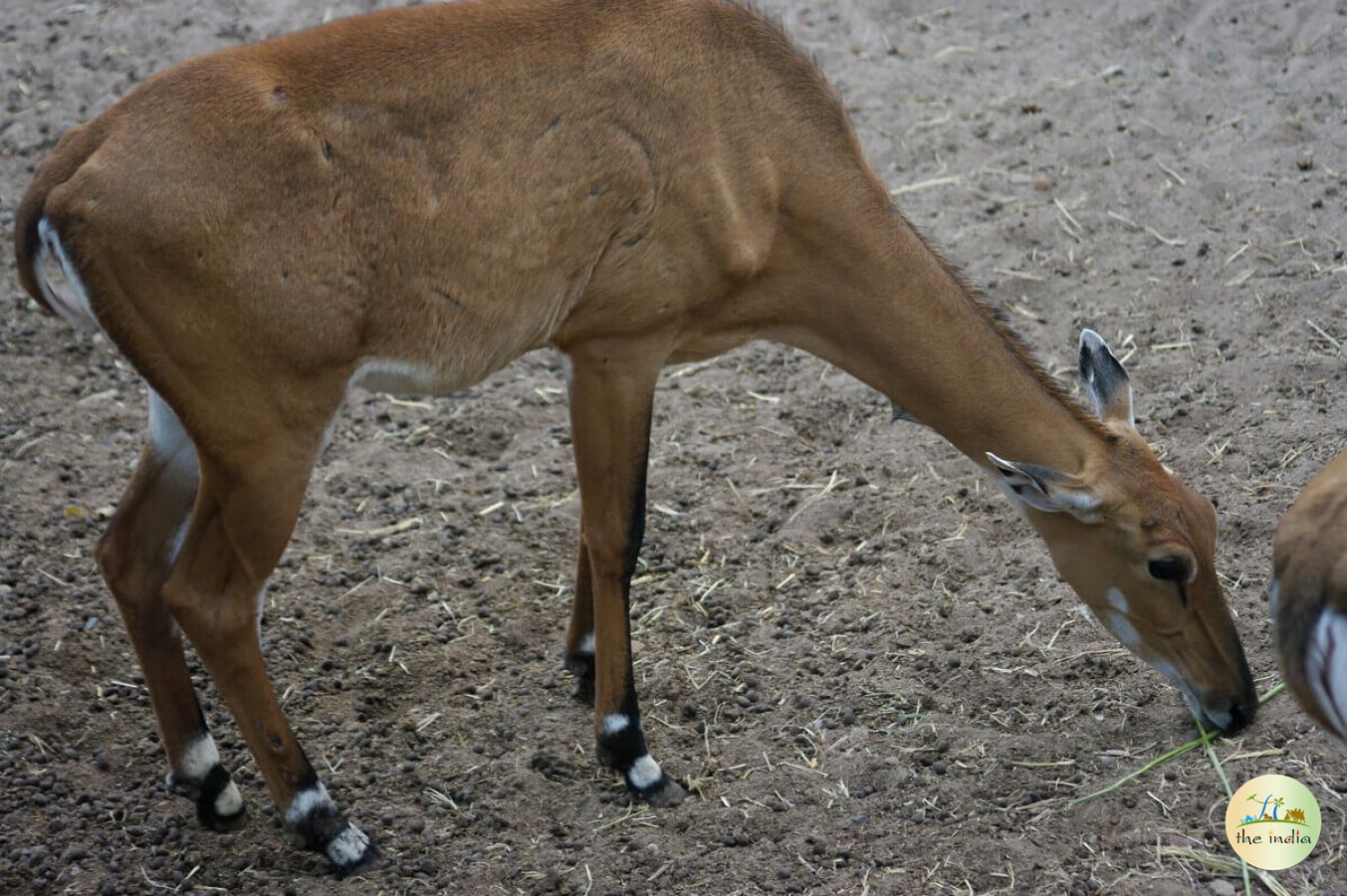 Kankaria Lake Ahmedabad Kankaria Lake Ahmedabad