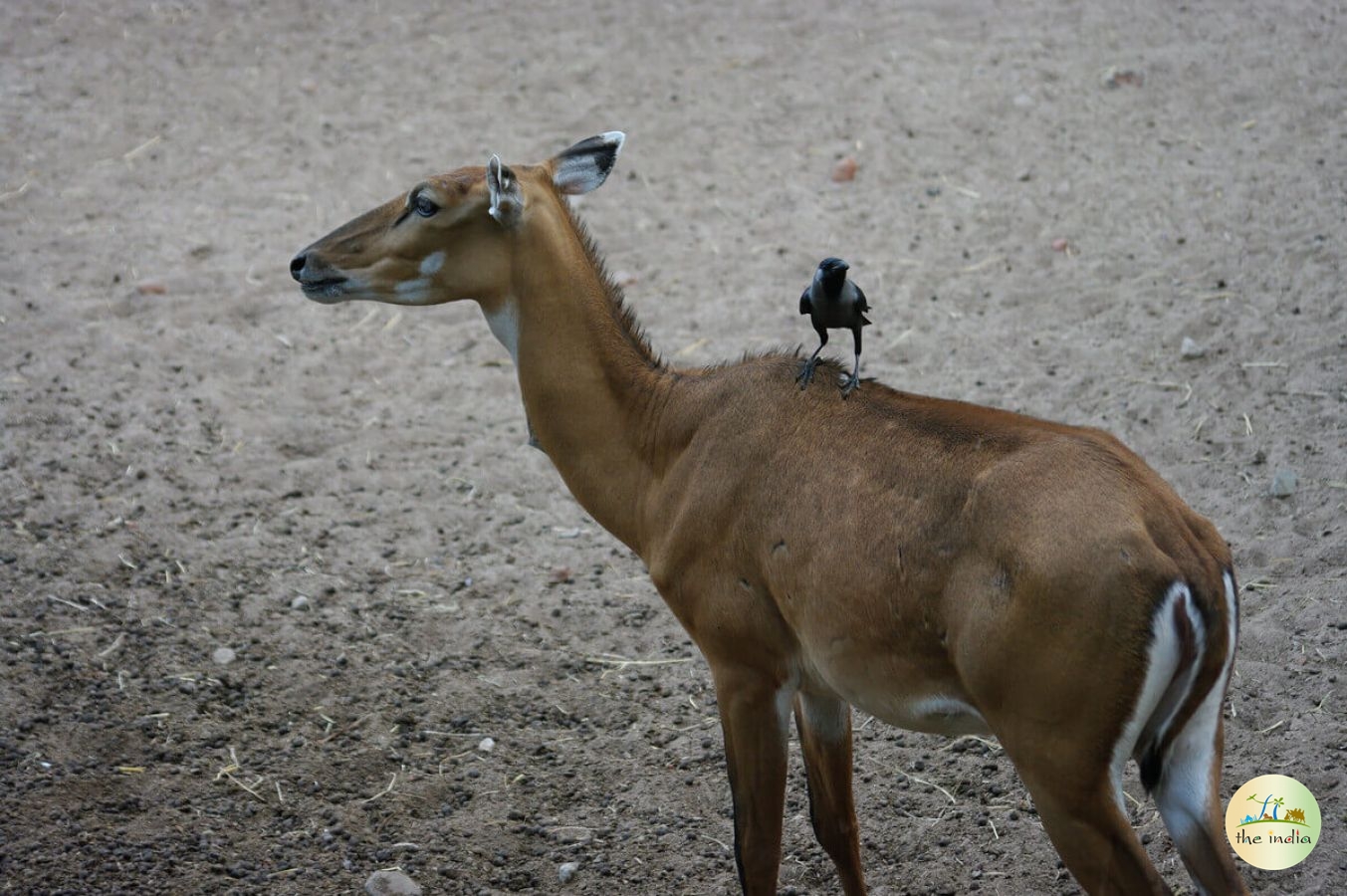 Kankaria Lake Ahmedabad Kankaria Lake Ahmedabad